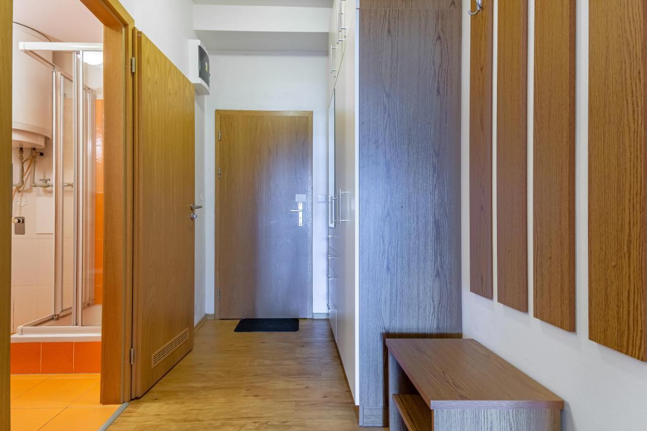 Lipno View - Blue Apartment 6 ليبنو ناد فلتافو المظهر الخارجي الصورة